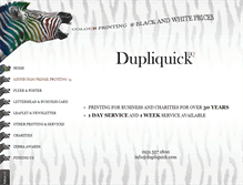 Tablet Screenshot of dupliquick.com